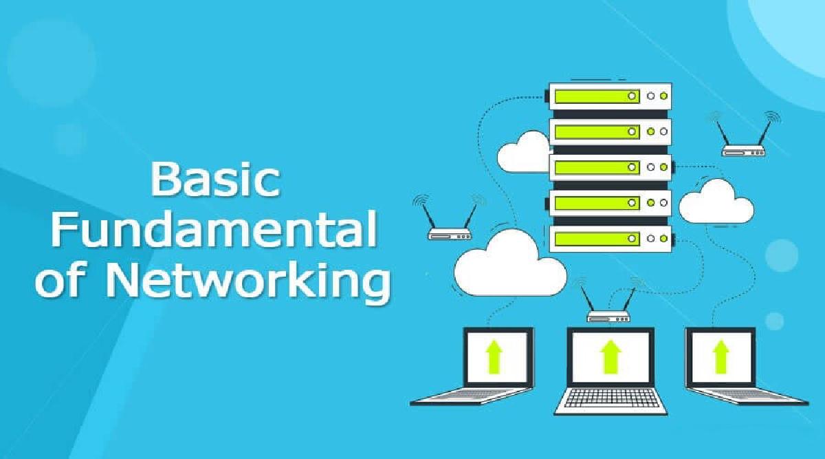 Understanding Internet Connectivity and Network Cabling: A Complete Guide